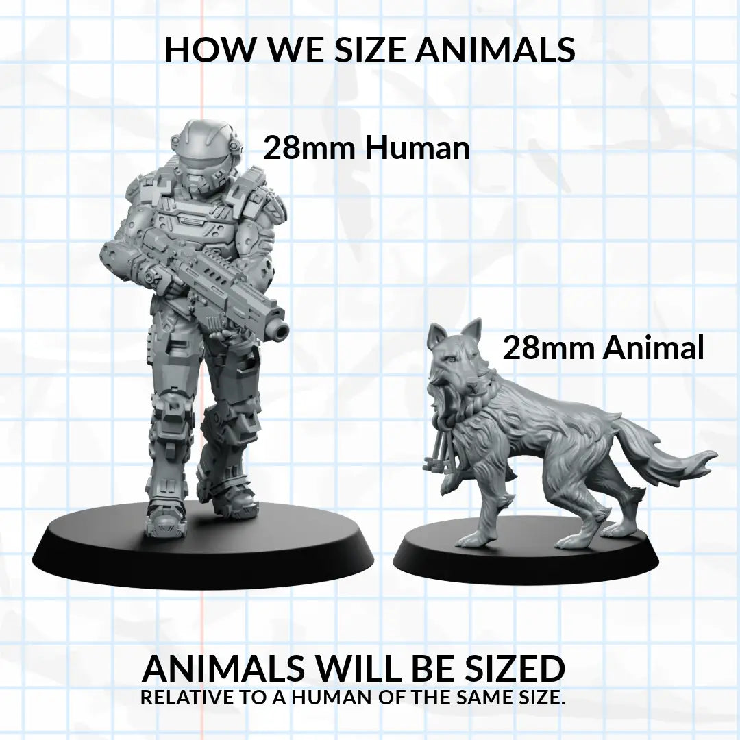 We Print Miniatures
