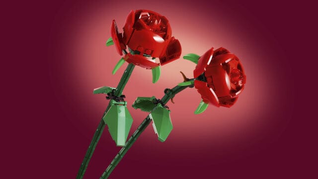 Toys & Games > Toys > Construction Toys > Interlocking Blocks > LEGO > LEGO Flowers Lego Botanicals 40460 Roses Building Toy Gift for Ages 8 and Up 673419434072