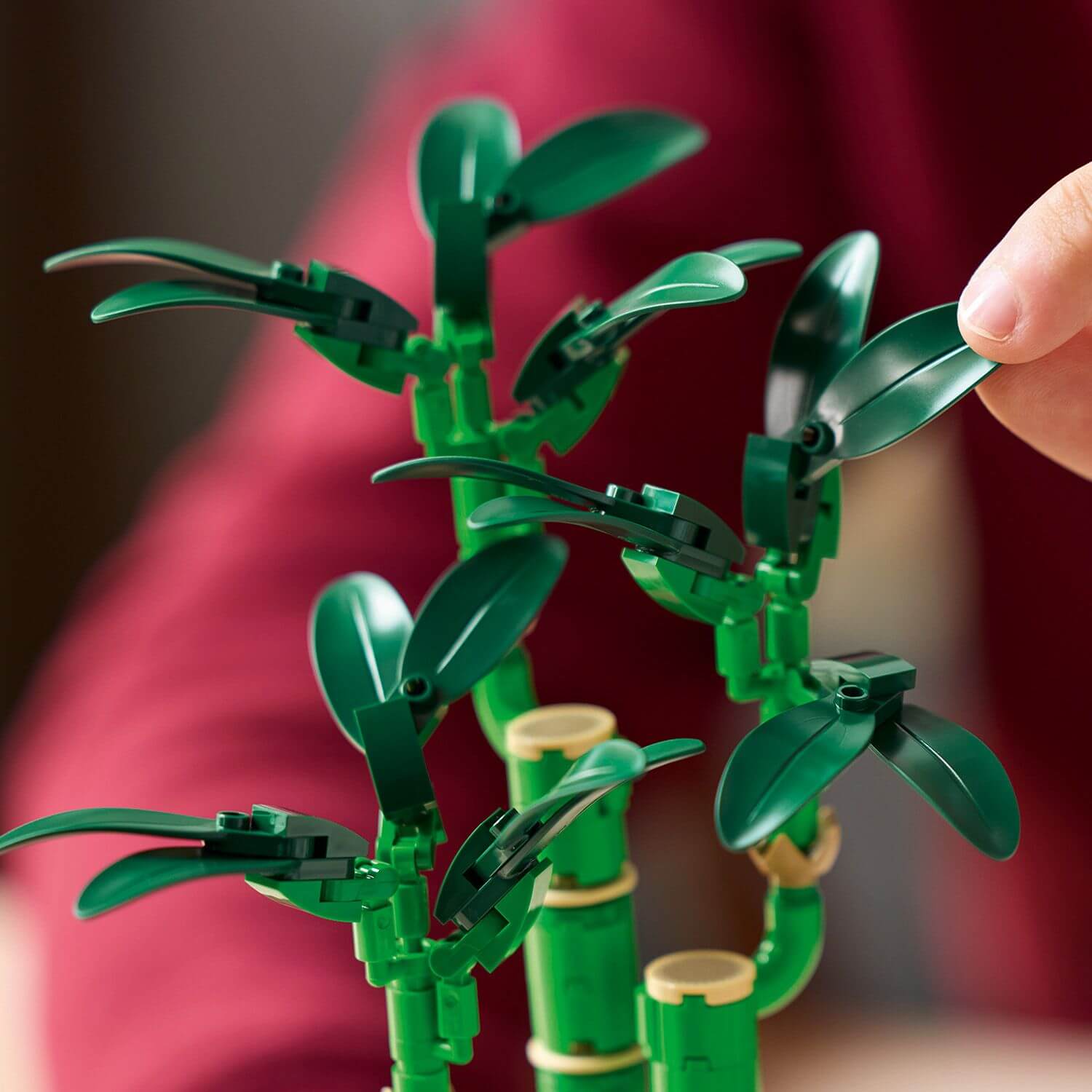 Curious Minds Toys & Games > Toys > Construction Toys > Interlocking Blocks > LEGO > LEGO Flowers Lego Botanicals 10344 Lucky Bamboo Building Set for Adults Age 18 & Up
