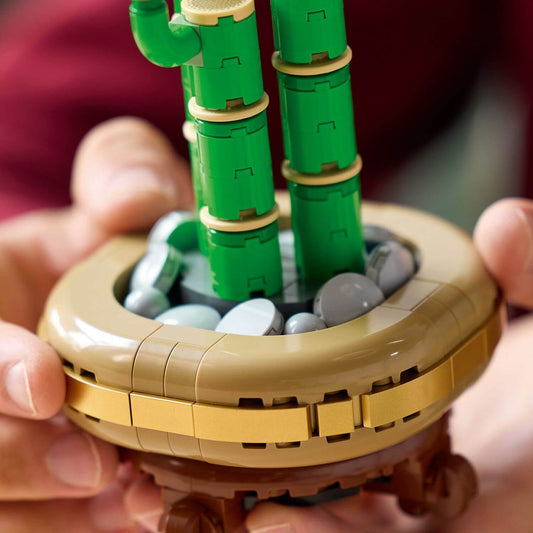 Curious Minds Toys & Games > Toys > Construction Toys > Interlocking Blocks > LEGO > LEGO Flowers Lego Botanicals 10344 Lucky Bamboo Building Set for Adults Age 18 & Up