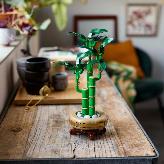 Curious Minds Toys & Games > Toys > Construction Toys > Interlocking Blocks > LEGO > LEGO Flowers Lego Botanicals 10344 Lucky Bamboo Building Set for Adults Age 18 & Up