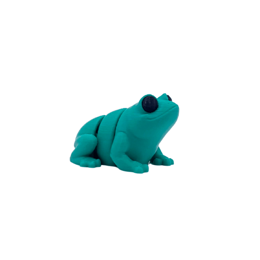 Dans Fidget Foundry Fidget Toy Articulated Frog Fidget