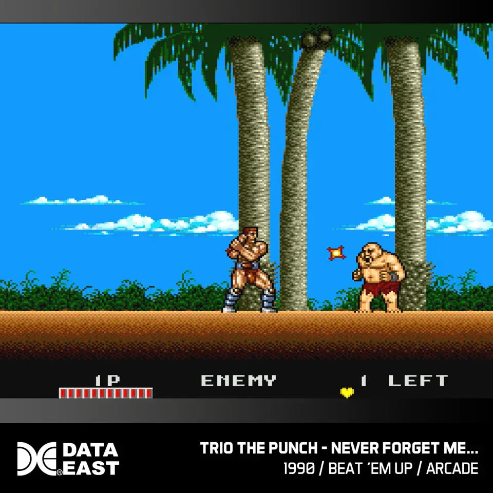 GameRaid Video Game Blaze Evercade Data East Arcade Collection 2 – Cartridge