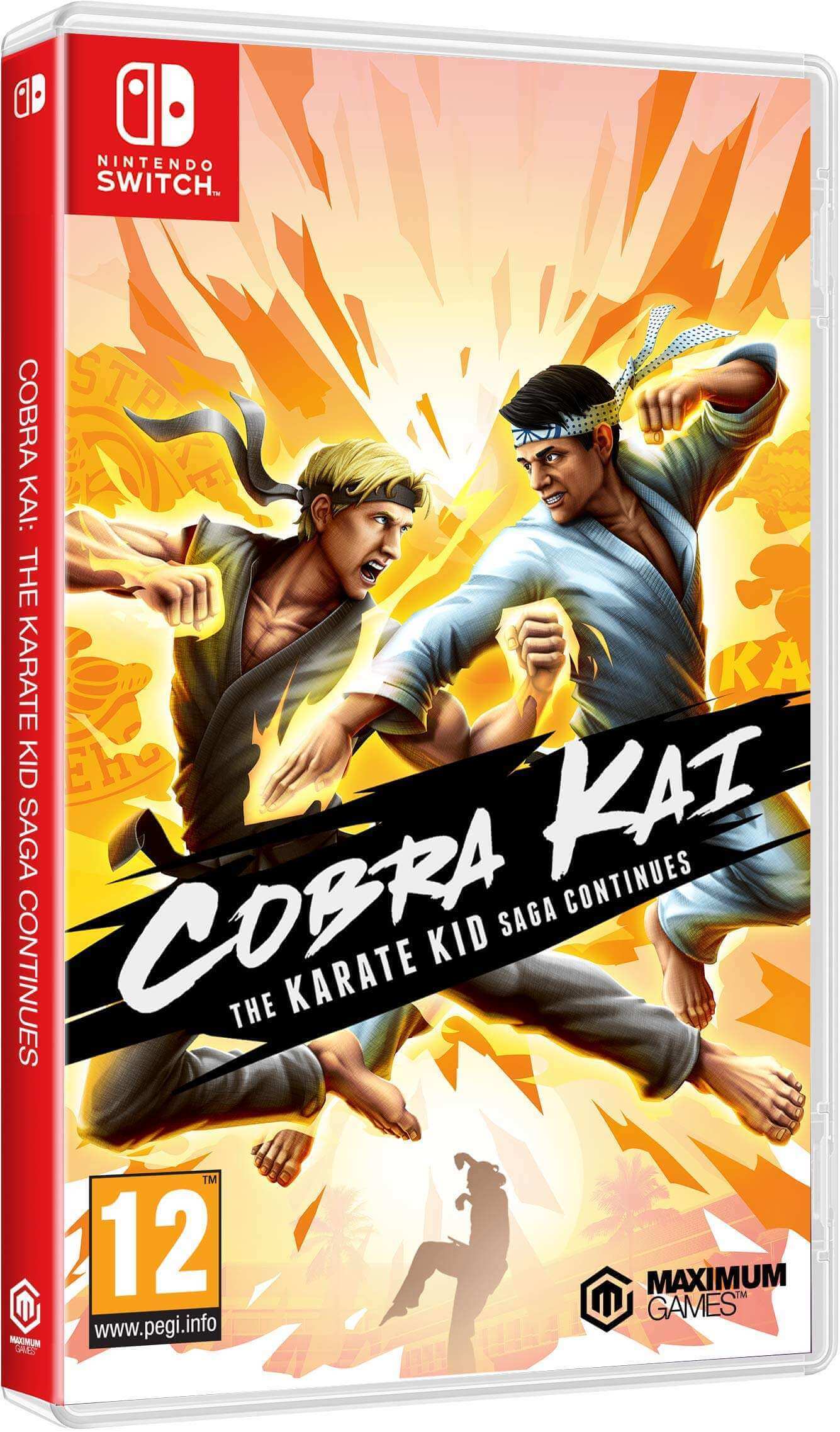 GameRaid Video Game Cobra Kai The Karate Saga Continues Nintendo Switch