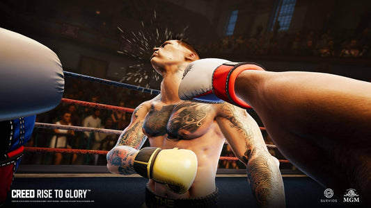 GameRaid Video Game Creed Rise to Glory PSVR PS4