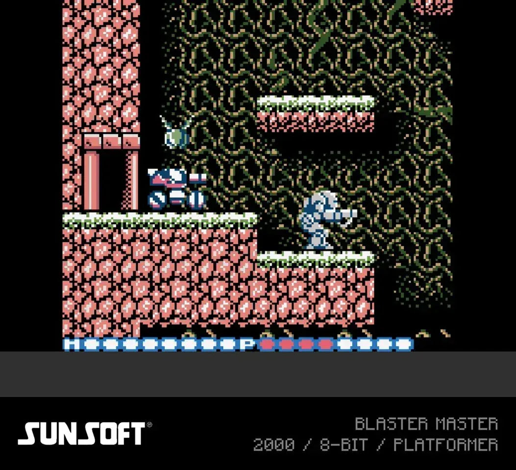 GameRaid Video Game Evercade Sunsoft Collection 2 – Cartridge