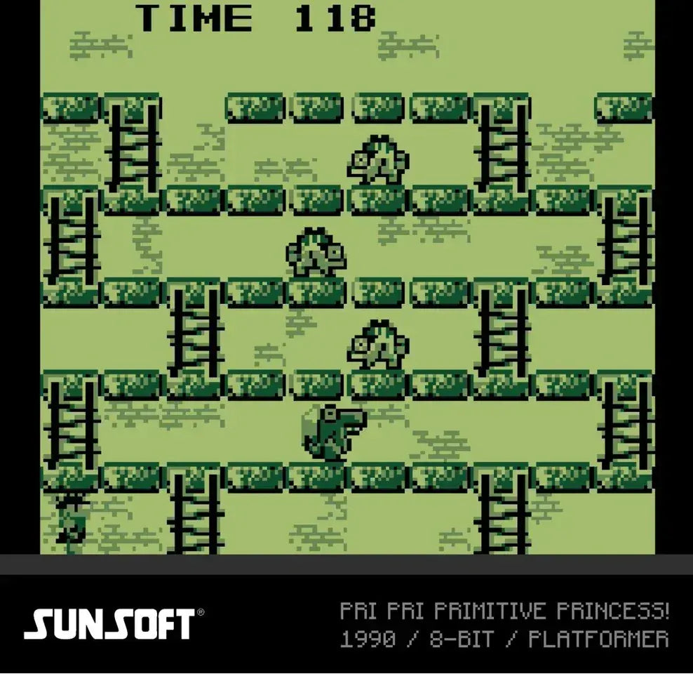 GameRaid Video Game Evercade Sunsoft Collection 2 – Cartridge