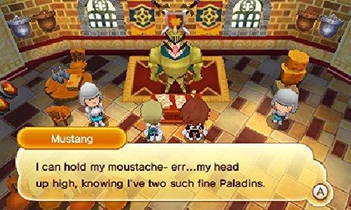 GameRaid Video Game Fantasy Life Nintendo 3DS