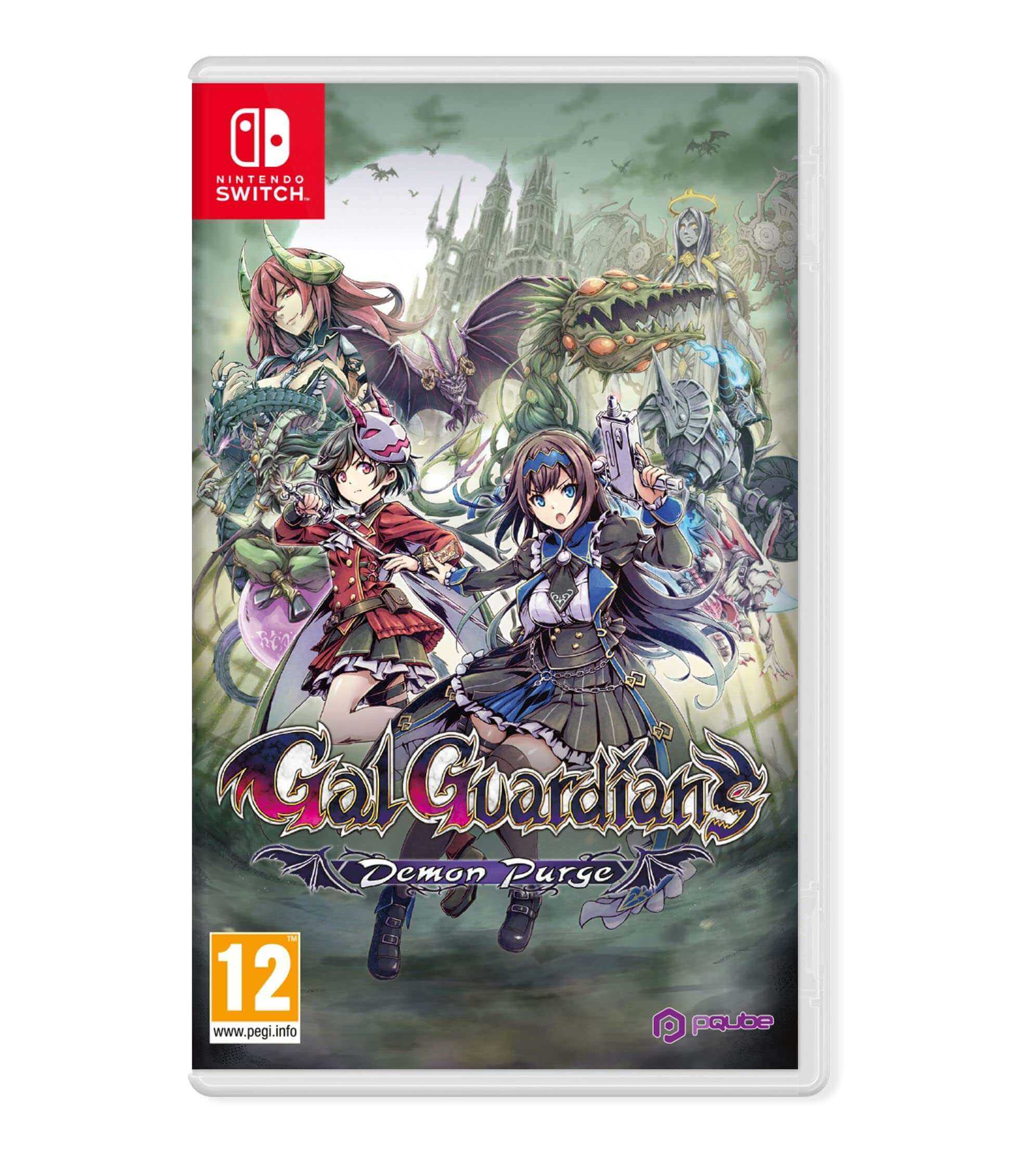 GameRaid Video Game Grim Guardians Demon Purge Nintendo Switch