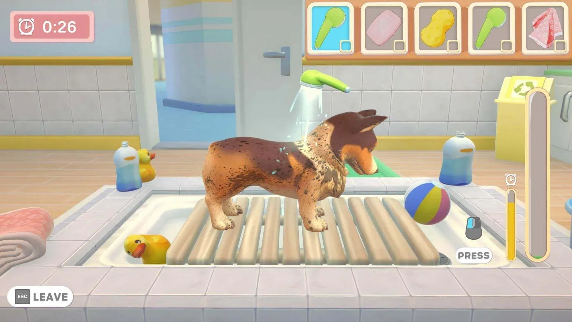 GameRaid Video Game Maximum Games My Universe Pet Clinic PS4