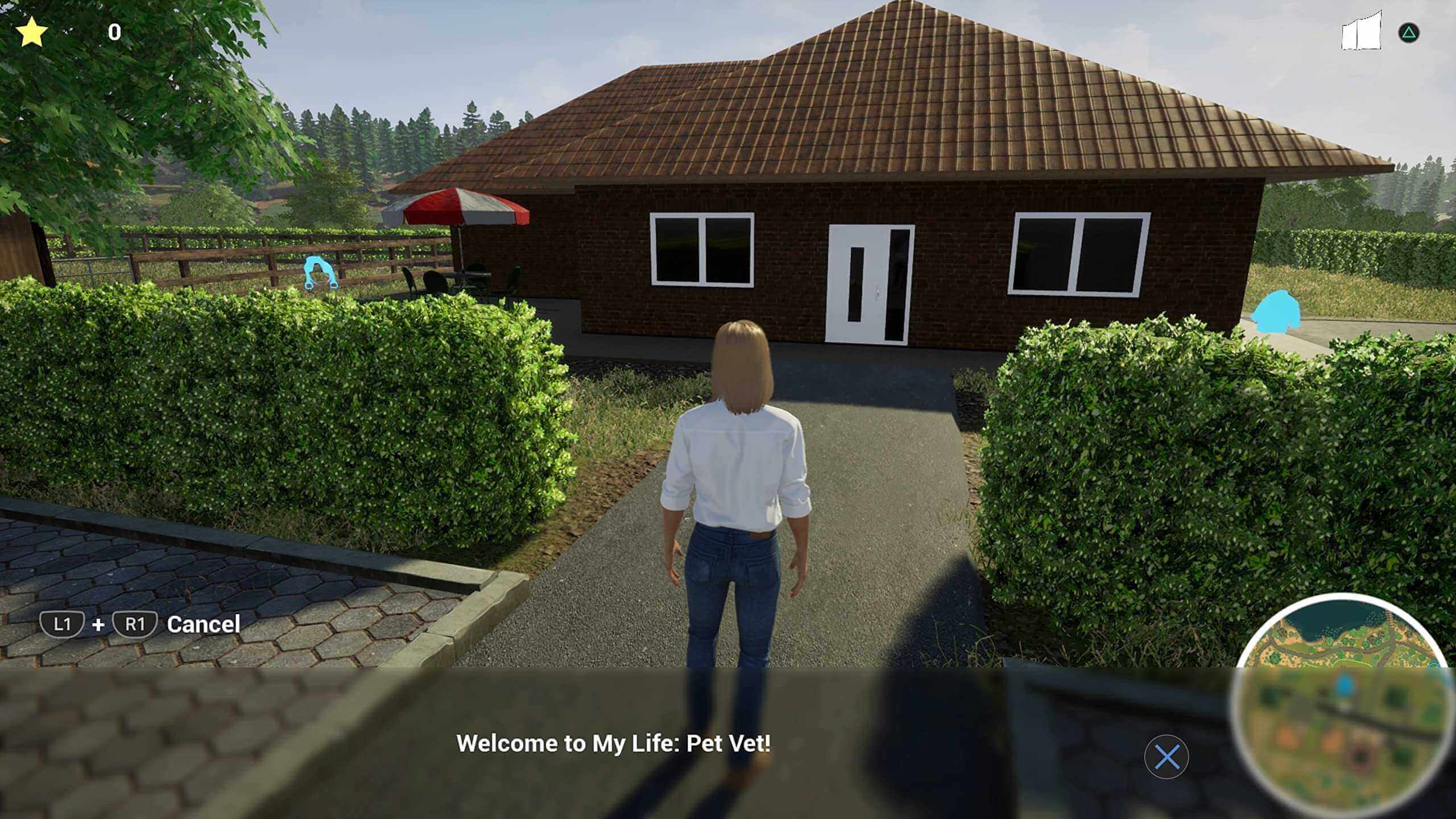 GameRaid Video Game My Life Pet Vet Nintendo Switch