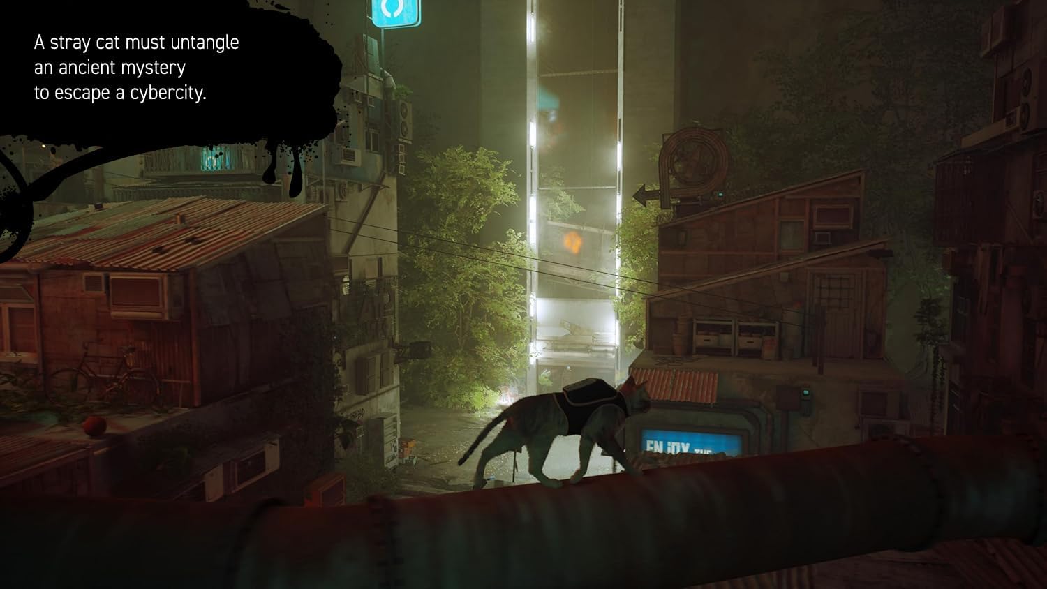 GameRaid Video Game Stray (Nintendo Switch)