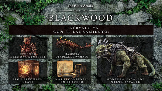 GameRaid Video Game The Elder Scrolls Online: Blackwood Edition for PS4