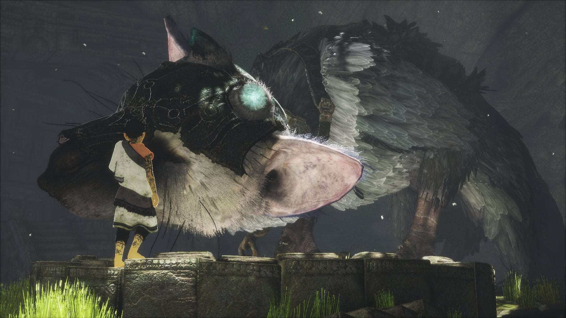 GameRaid Video Game The Last Guardian PS4