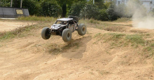 Rooleo ATOM 6S 95KM/H extreme speed 1:8 desert buggy