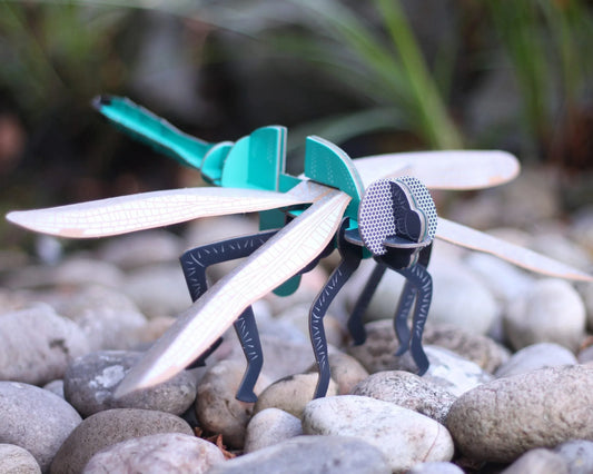 Snaps Dragonfly - Build Your Own