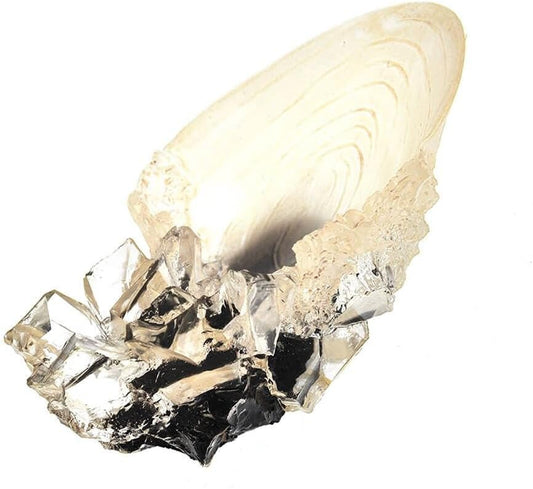 Snaps Harry Potter: The Crystal Goblet from The Cave by The Noble Collection
