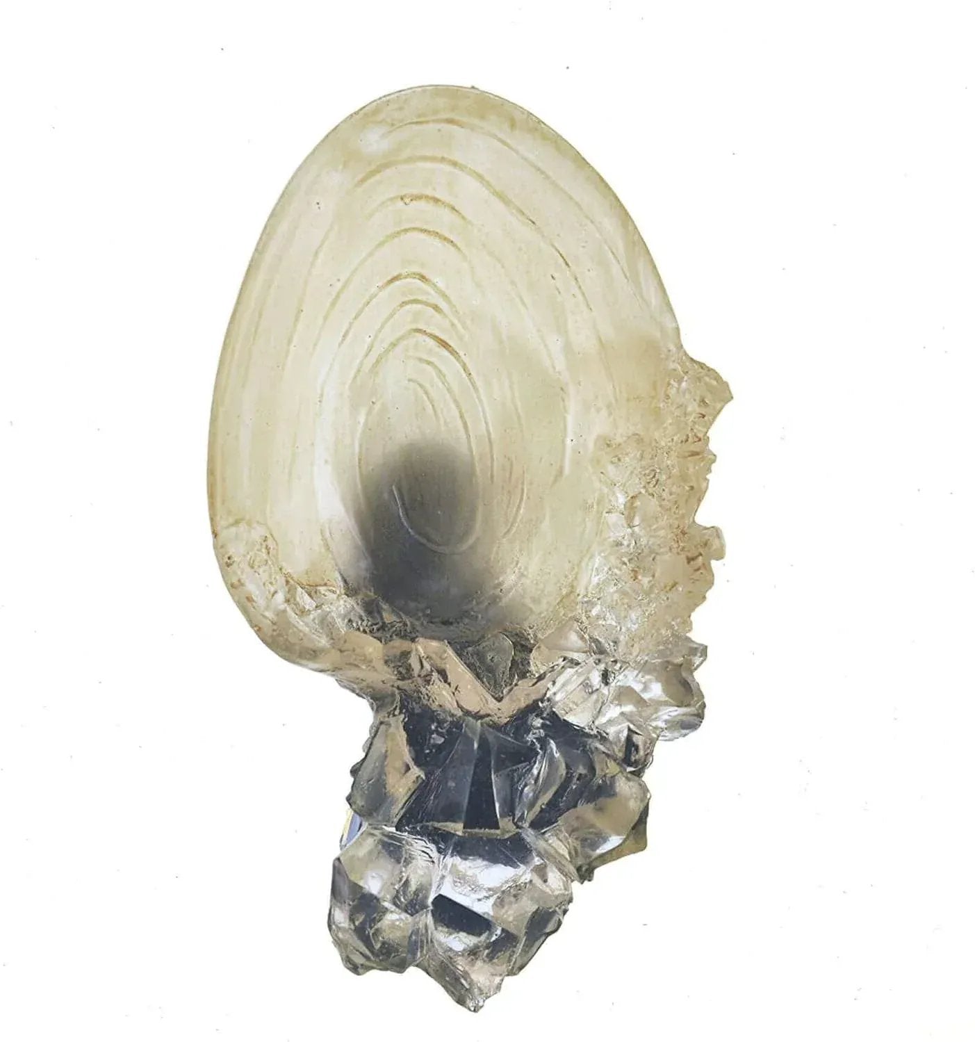 Snaps Harry Potter: The Crystal Goblet from The Cave by The Noble Collection