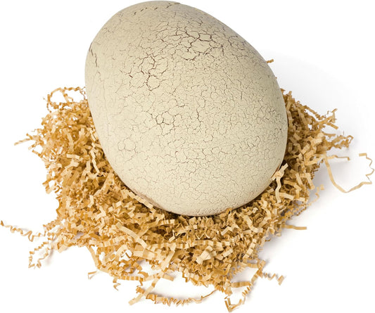 Snaps Jurassic World Primal Hatch Interactive Toy Dinosaur & Egg