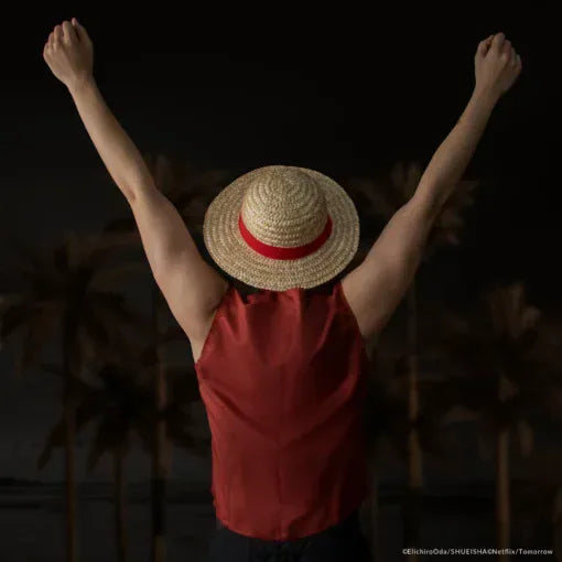 Snaps One Piece Luffy Straw Hat
