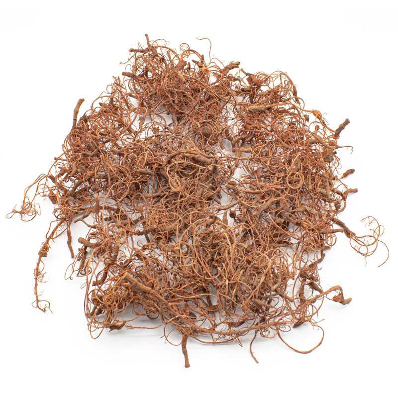 The Home Crafters Ltd. Terrain Green Stuff World: Diorama Tree Roots